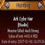 Ark Cybe Nor