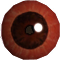 Picture of Boar Eye