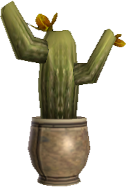 Picture of Potted Medium Cactus