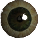 Picture of Cyclops Eye