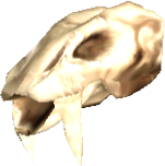 Picture of Exarosaur Skull