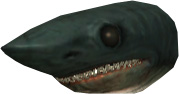Picture of Shark Head