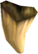Picture of Exarosaur Tooth