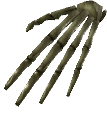 Picture of Skeleton Hand