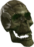 Picture of Skeleton Head