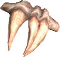 Picture of Letomie Fossil Teeth