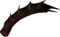Picture of Drake Tail