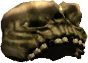 Picture of Furor Skull