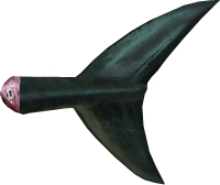Picture of Shark Tail