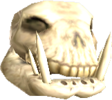 Picture of Argonaut Skull