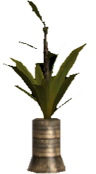 Picture of Potted Rowdy Green Plant